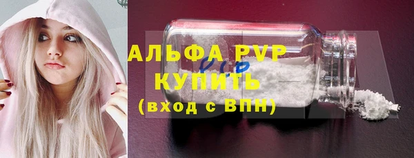 индика Покров