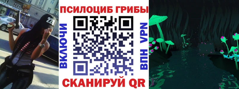 даркнет сайт  MEGA ONION  Псилоцибиновые грибы мухоморы  Жуков 